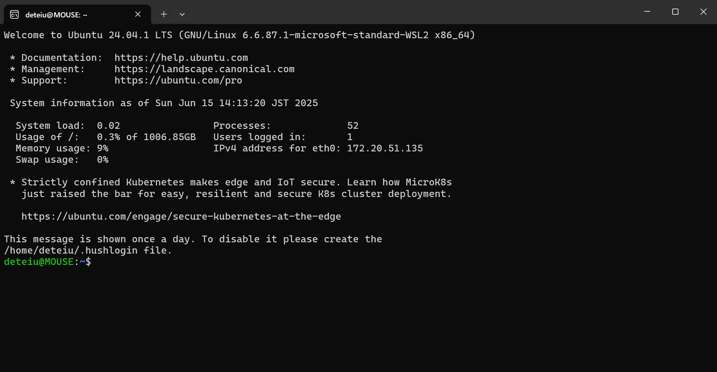 WSL2 Ubuntu Terminal
